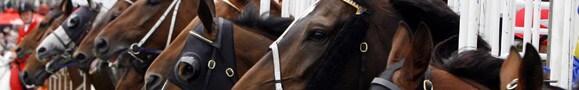 Enjoy tips on Horse Racing at sportsbet.com.au